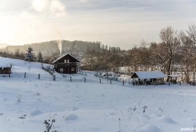 Casă în Cacica - 1