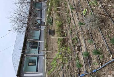 Casă cu 3 camere în Traian