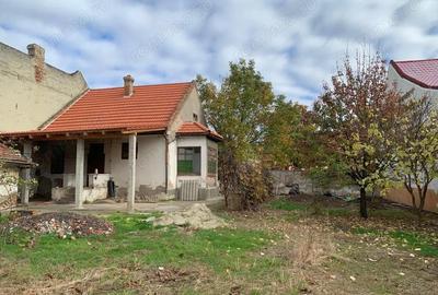 Teren de 1007 mp, în Lipovei - 2