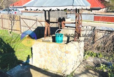 CASA traditionala BODESTII DE JOS - 3