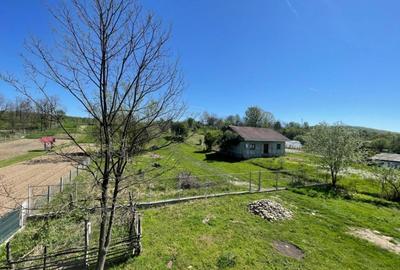 Casă cu 4 camere cu Teren 4692 Mp în Rasova - 1