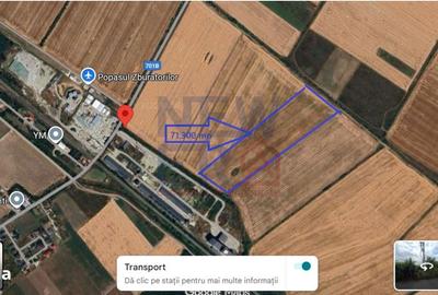 Teren de 71300 mp, în Ciocănești - 3