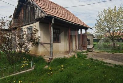 Casă cu 2 camere cu Teren 660 Mp în Mihai Viteazu - 11