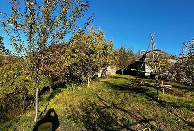 Casa batraneasca + teren 5000mp - 5
