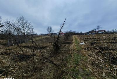 Spațiu comercial, în Măgura - 8