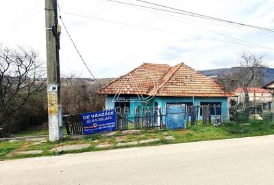 Casă cu 3 camere cu Teren 719 Mp în Baia de Fier - 4