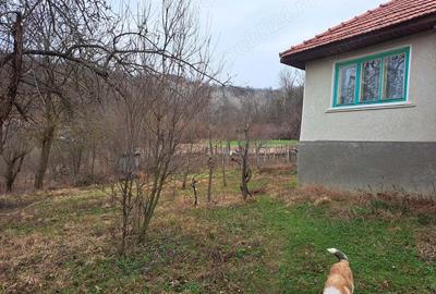 Casa de vanzare in Vladimir jud. Gorj - 8