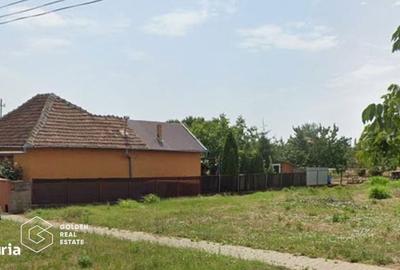 Spațiu comercial, în Sintea Mică - 2