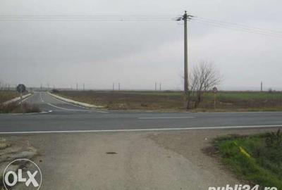 Teren de 15000 mp, în Tișița - 1