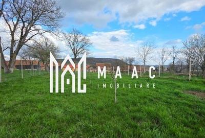 Casa individuala I Curte I Teren 1700 mp I Rosia Casa individuala I Curte I Teren 1700 mp I Rosia - 16