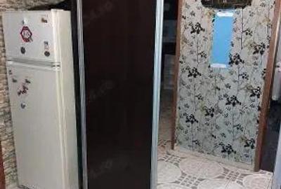 Nerva traian-Anastasie Panu - 3