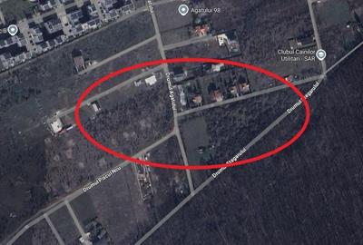 TEREN 1.000 mp langa padure pentru vila - 2