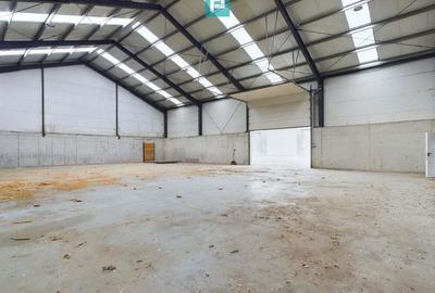 Hala industriala de 411mp Jebel, Timi? - 1
