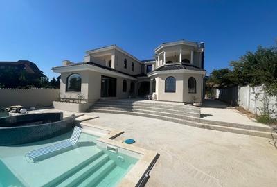 Casa Izvorani - lacul Snagov - 10