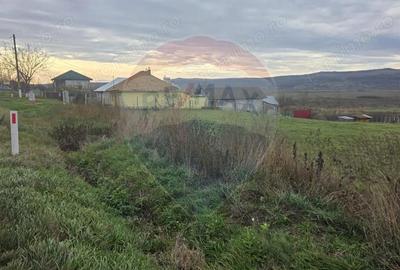 Teren intravilan si extravilan 8,282mp oras Negresti, judetul Vaslui - 5