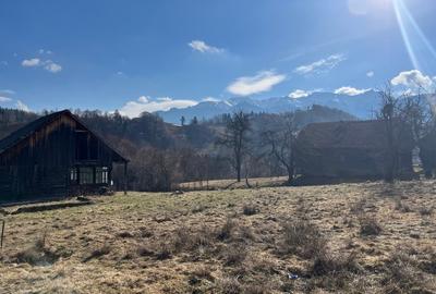 Teren intravilan 2.881 mp Șimon - Vedere panoramică Bucegi - Utilități incluse - 12