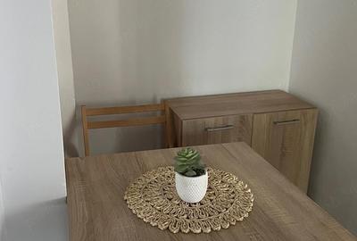 Apartament cu 2 camere decomandat în 9 Mai - 4