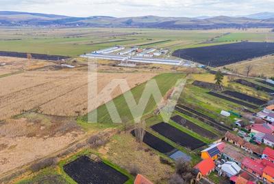 Teren 10000 mp in Extravilan, Bod, Brasov- COMISION 0% - 13