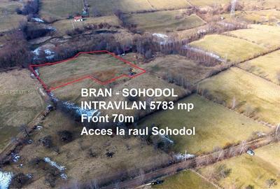 Teren Construcții intravilan de 5783 mp, în Bran - 2