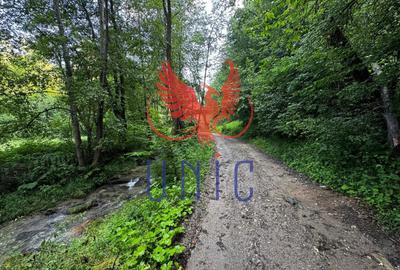 Teren Construcții extravilan de 18000 mp, în Exterior Est - 32