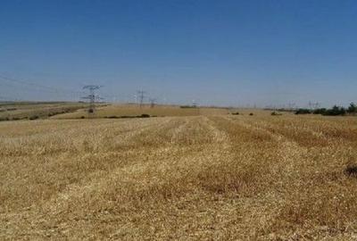 Teren extravilan Cernavoda, ID: R2755634 - 6