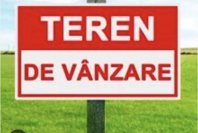 Teren de 5800 mp, în Chinteni