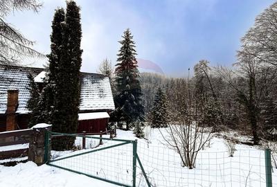 Teren Construcții intravilan de 1794 mp, în Moroeni - 5