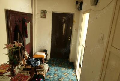 Apartament cu 2 camere decomandat în Micălaca - 7