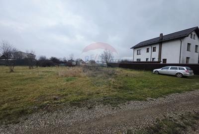 Teren 519mp Dumbrava Rosie / Strada CRANGULUI - 7