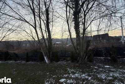 Teren de 10834 mp, în Dumbrăvești - 1