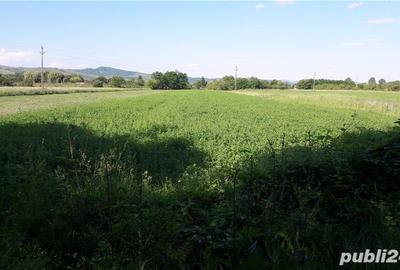 Teren de 4997 mp, în Pârscov - 7