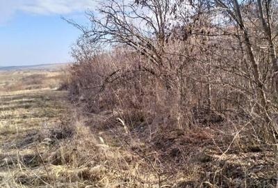 Vand teren in satul Gheorghieni 1400 mp, strada asfaltata - 2