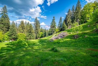 Teren intravilan cu potential turistic si de agrement, zona Trei Brazi - 27