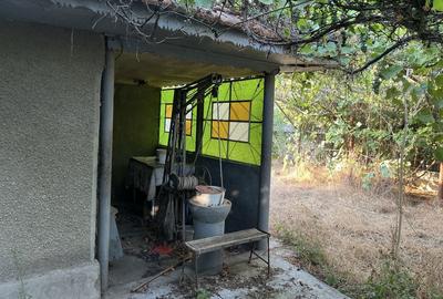 Casă cu 3 camere în Boșneagu - 5