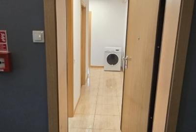 Apartament 2 camere parter cu terasa Hercesa - 4