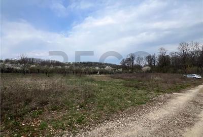 Teren de 600 mp, în Iorga - 5