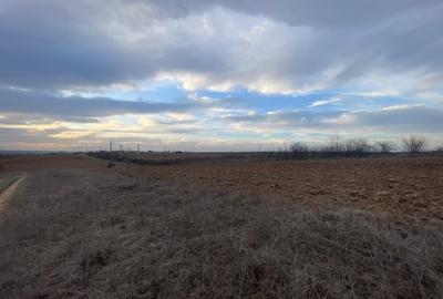 Teren intravilan 2000mp parcelat Malu Mare - 1