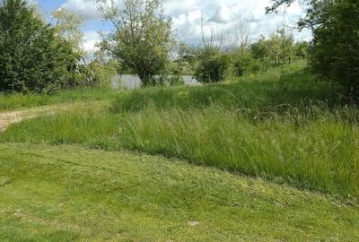 Teren de 2500 mp, în Suseni - 5