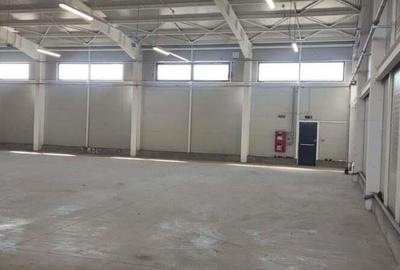 Spațiu comercial, de 525 mp, în Afumați - 6