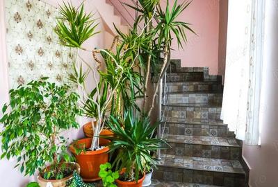 Spațiu comercial, de 2,200 mp, în Central - 10