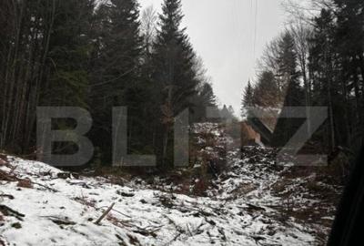 Teren unic, exclusivist 4000 mp, in inima muntilor, Sinaia - 9