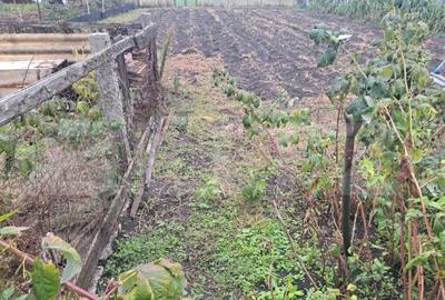 Casă cu 3 camere cu Canalizare în Hălchiu - 11