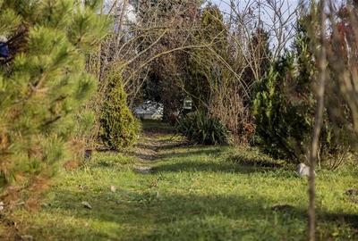 Casa individuala 6 camere I 228 mp I teren 2900 mp I Manastirea zona Dej - 41