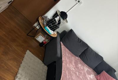 Apartament cu 2 camere semidecomandat în Central - 4