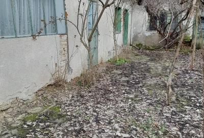 Casă individuală cu 5 camere cu Teren 970 Mp în Tincova - 4