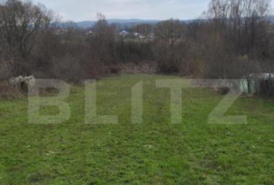 Teren de 3000 mp, în Plopu