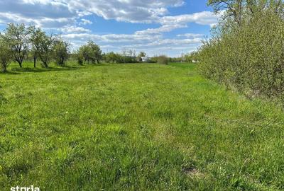 Teren de 2200 mp, în Șotânga - 5
