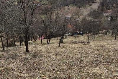 Casă cu 4 camere în Central - 3