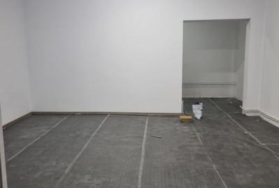 Hale + Atelier Mecanic + Birouri - 4