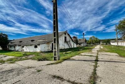 REC3001167 Hala industriala 18500mp Scornicesti-Olt - 2